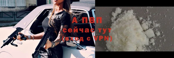 ГАЛЛЮЦИНОГЕННЫЕ ГРИБЫ Белокуриха