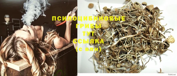 ГАЛЛЮЦИНОГЕННЫЕ ГРИБЫ Белокуриха