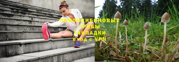 ГАЛЛЮЦИНОГЕННЫЕ ГРИБЫ Белокуриха