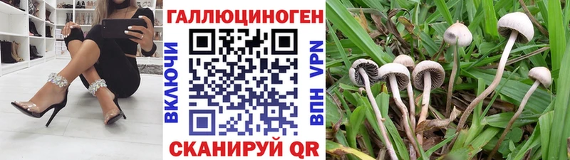 дарнет шоп  Бугульма  Псилоцибиновые грибы прущие грибы 