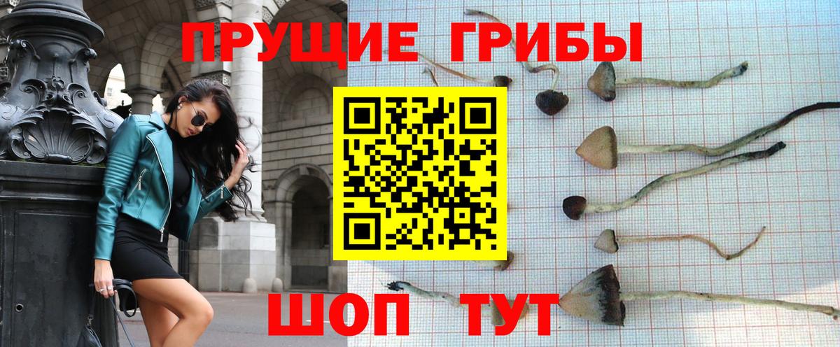 Бугульма  Галлюциногенные грибы мухоморы  Вход с VPN 
